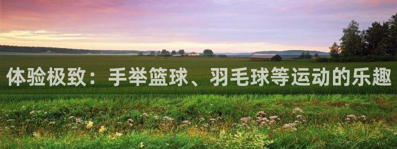 betway西汉姆联官网：体验极致：手举篮球、羽毛球等运动的乐趣