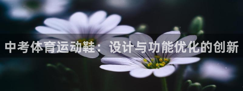 betway西汉姆联：中考体育运动鞋：设计与功能优化的创新