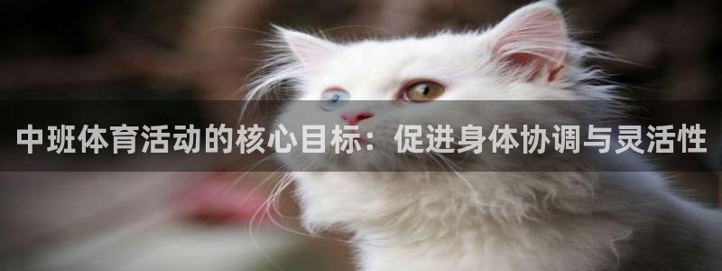 必威betway西汉姆联：中班体育活动的核心目标：促进身体协调与灵活性