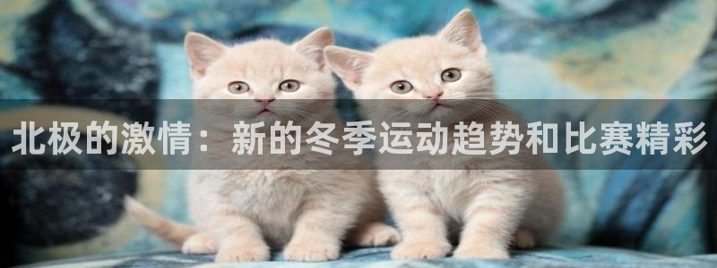 betway西汉姆联官网：北极的激情：新的冬季运动趋势和比赛精彩