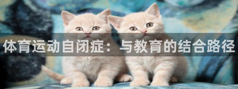 betway西汉姆联：体育运动自闭症：与教育的结合路径