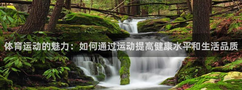 betway西汉姆官网：体育运动的魅力：如何通过运动提高健康水平和生活品质