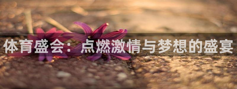 betway西汉姆联官网：体育盛会：点燃激情与梦想的盛宴